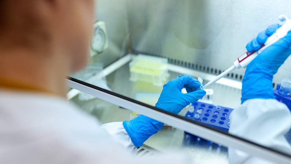 Work in a fume hood